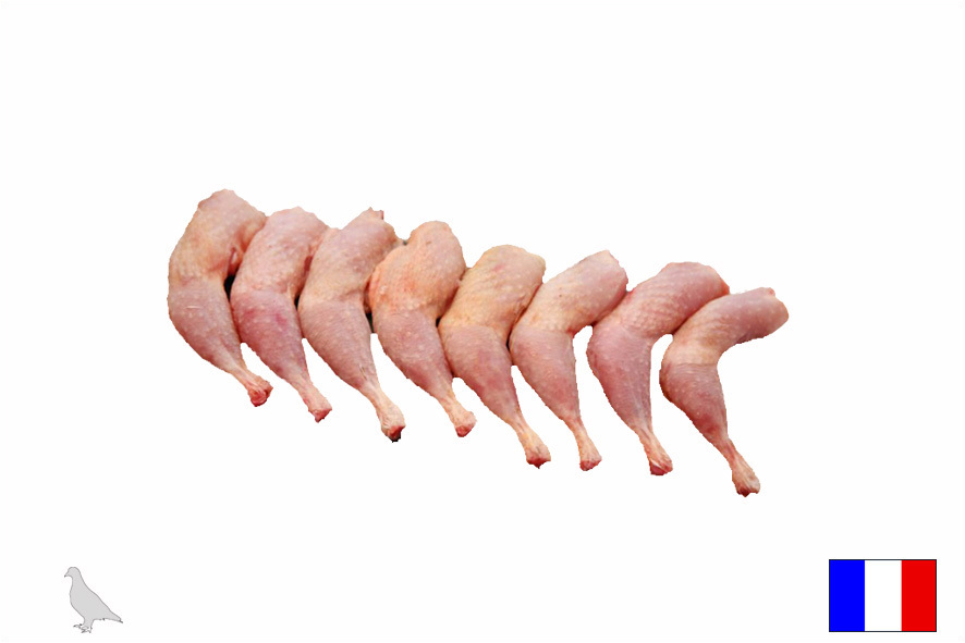 PICCIONI COSCIA (F) SG