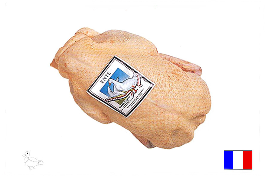 ENTE BARBERIE 1,5-1,7 KG (F) TK