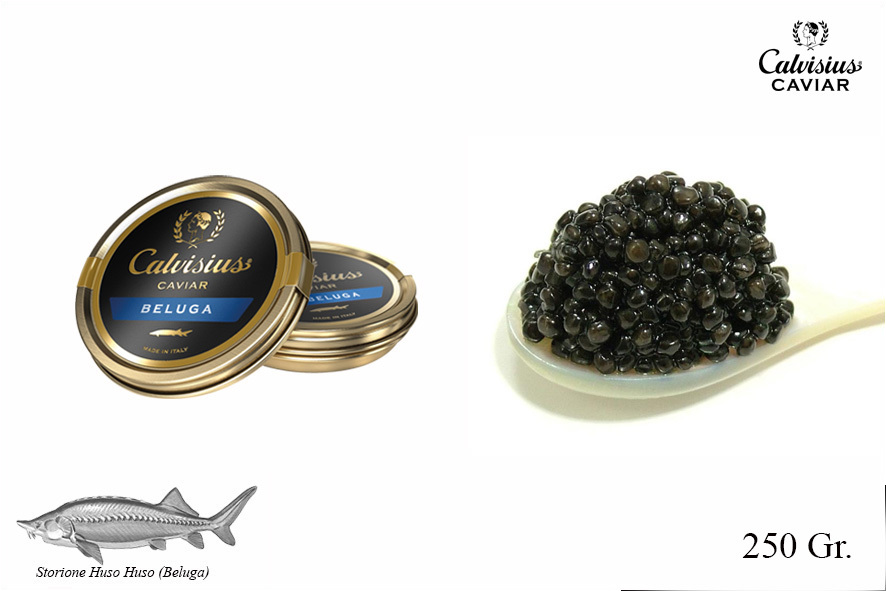 CAVIALE BELUGA