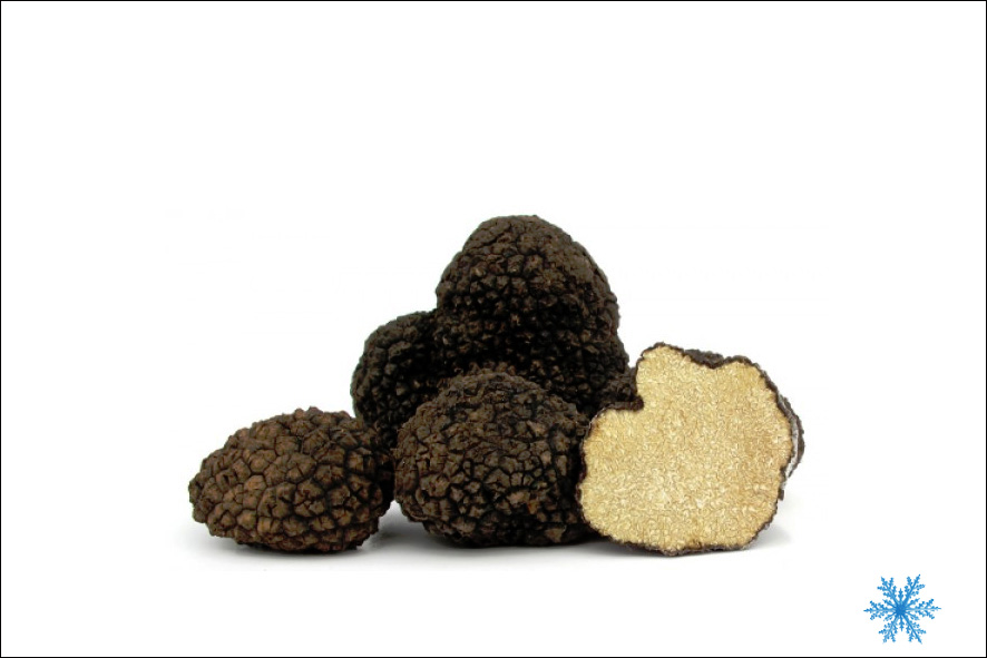 TARTUFO NERO ESTIVO INTERO SG