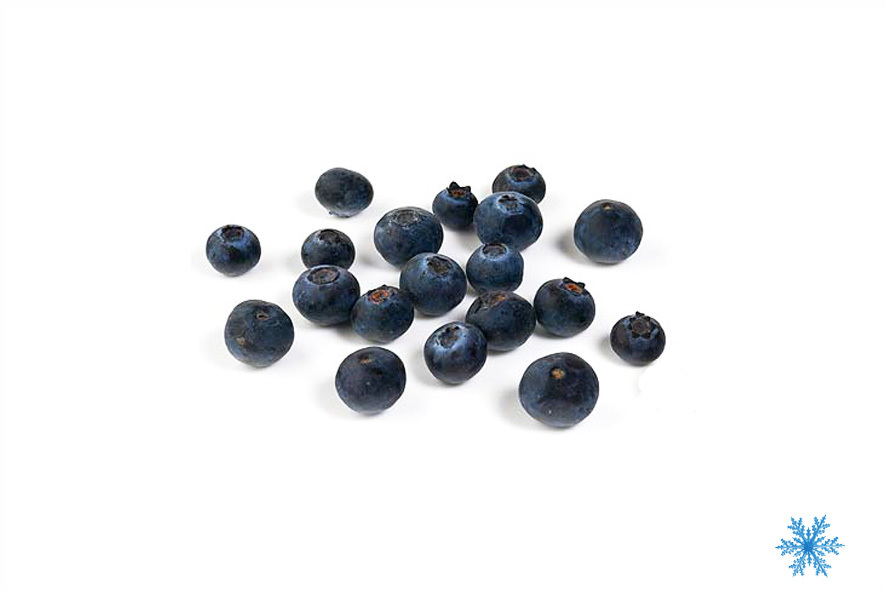 MIRTILLO NERO DI BOSCO SG