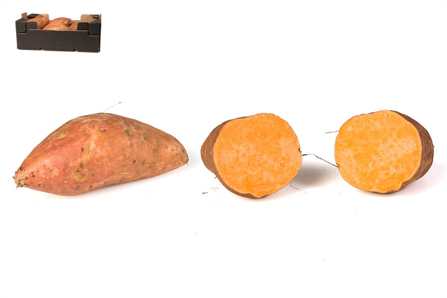 KARTOFFEL SUESS MITTEL