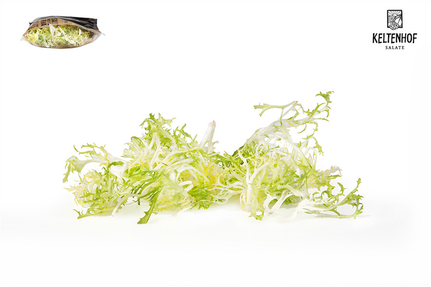 INSALATA RICCIA FINA PULITA