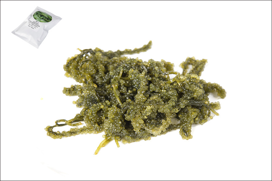UMIBUDO "GRUENER CAVIAR"