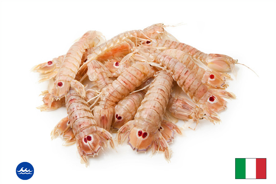 HEUSCHRECKENKREBS 20-30 ST/KG TK