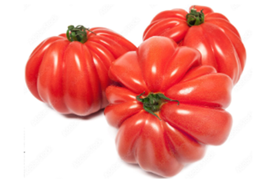 POMODORI CUOR DI BUE ROSSO (I)