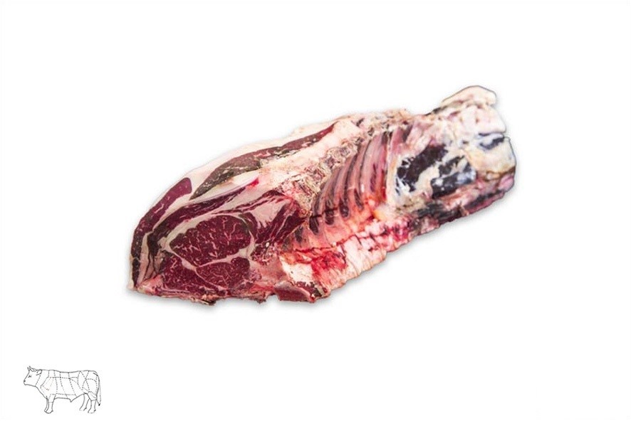 MANZO LOMBATA 8 C. MAREZZATA (UK)