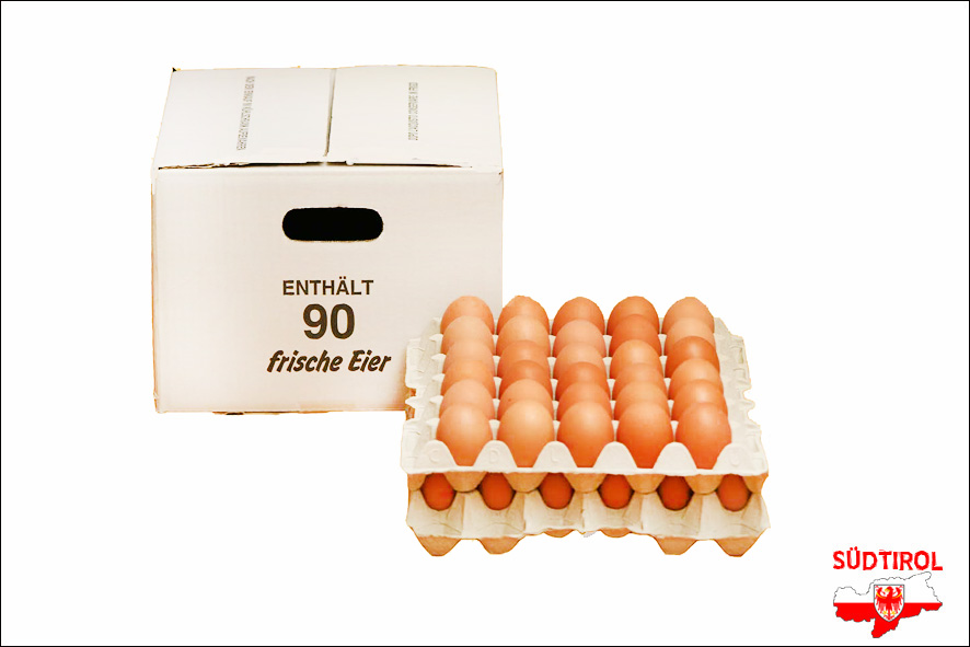 UOVA ALL/TERRA 63/73 L