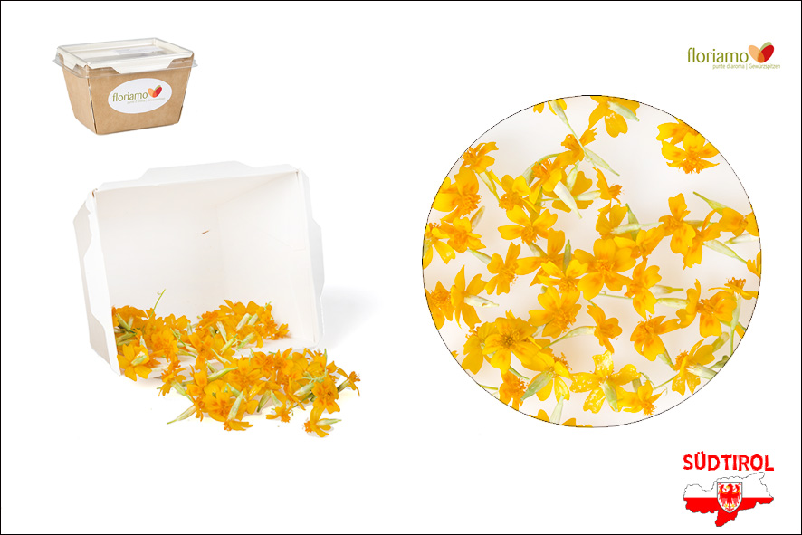 FIORI TAGETES AL LIMONE EDULI AA