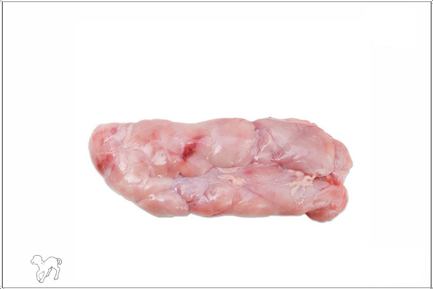 AGNELLO ANIMELLE (IRL)