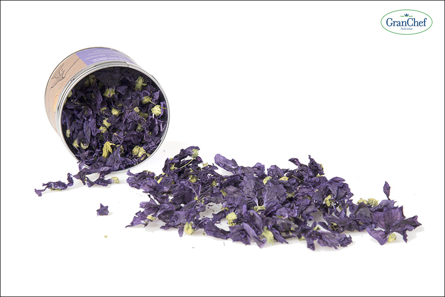 FIORI MALVA GASTRO KRAUETEREBELLEN