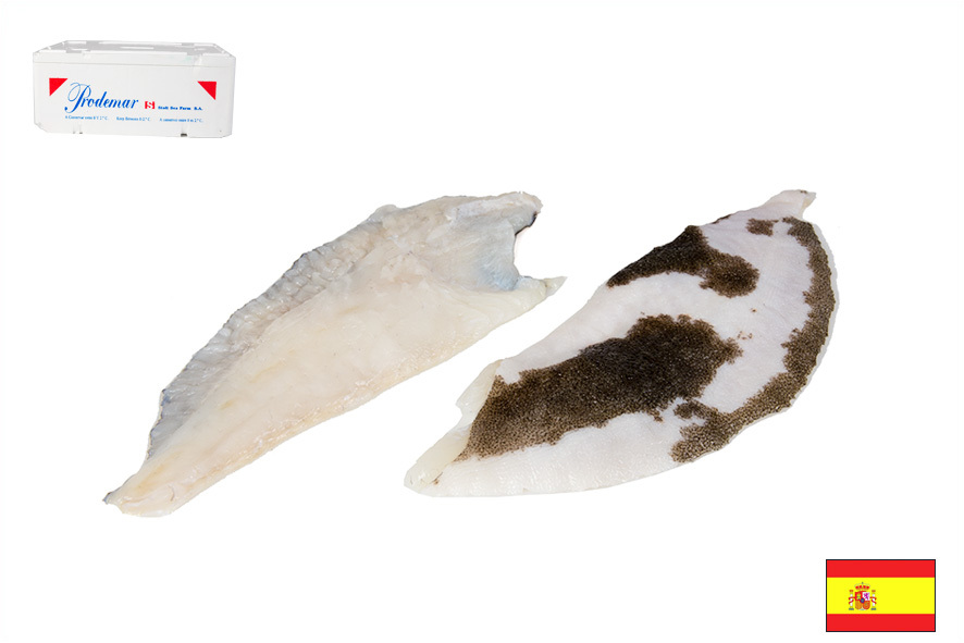 ROMBO FILETTO A C/P 150-200 GR(E)