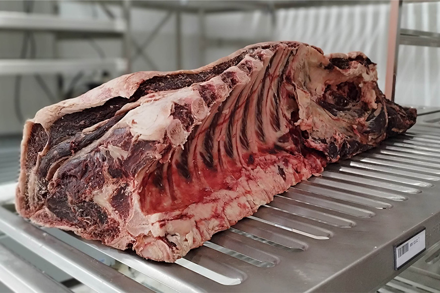 RIND SCHOSSE 8 RIPP ANGUS (SC)
