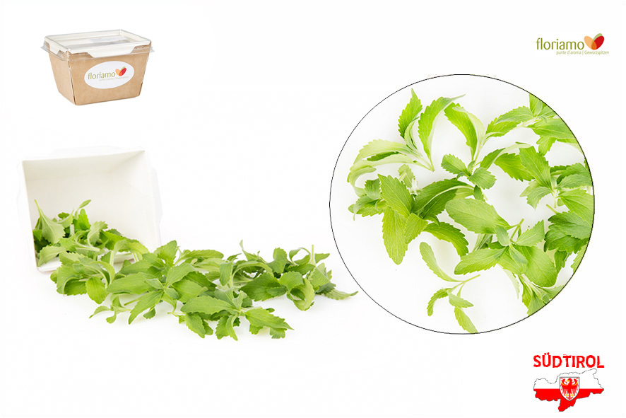 ERBA DOLCE STEVIA PUNTE AA
