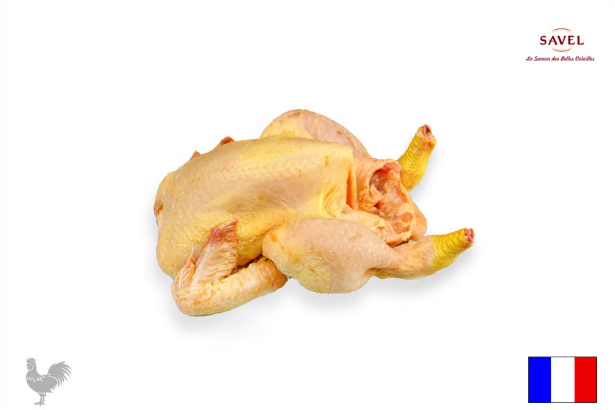 GALLETTO BABY 500-550 GR(F)