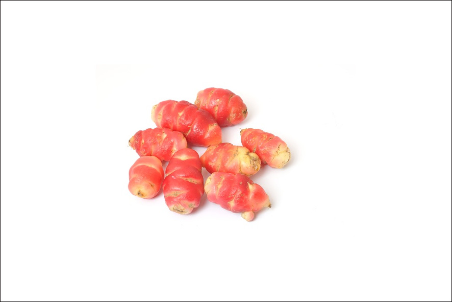 OCA DEL PERU (OXALIS TUBEROSA)(CO)
