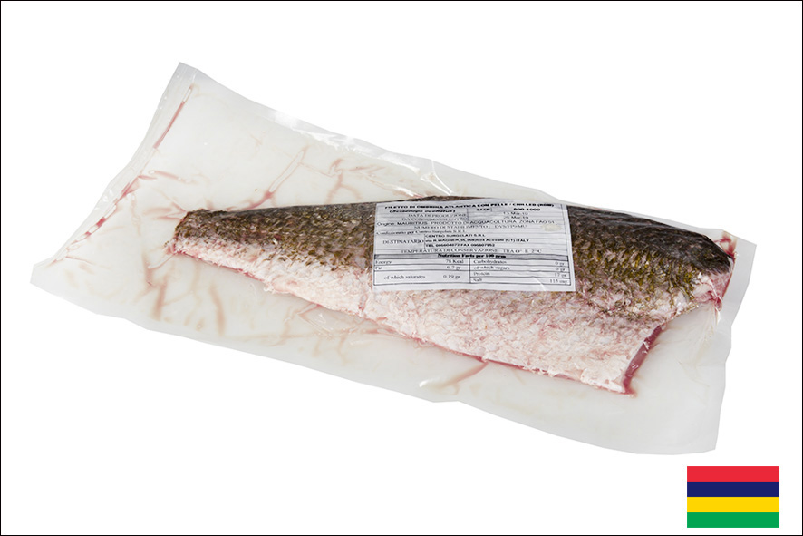 OMBRINA OCELLATA FIL. 0,8-1 KG