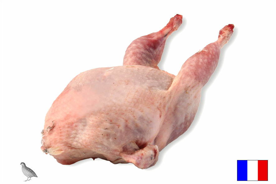 WACHTELN 180-200 GR(F)