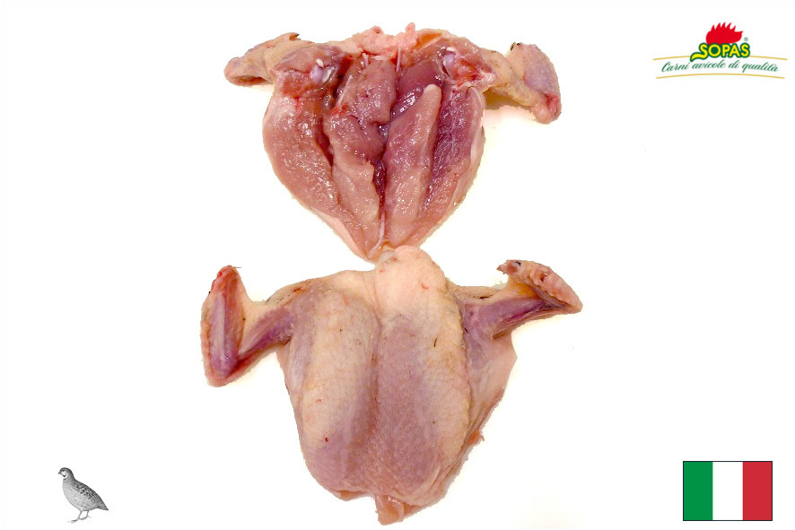 WACHTELN BRUESTCHEN M/K M/H(I)