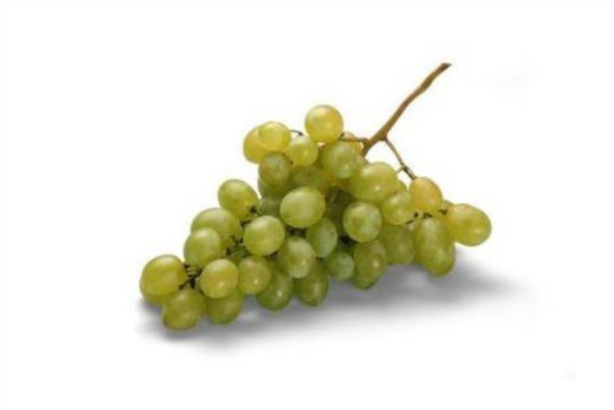 TRAUBEN WEISS KERNLOS