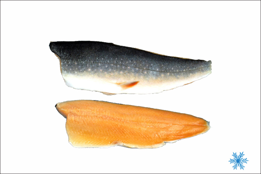 SEESAIBLING FILET M/H 150-250 GR  TK
