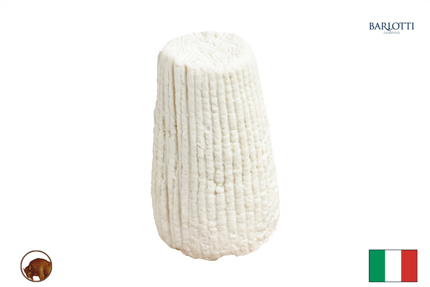 RICOTTA SALATA BUFALA
