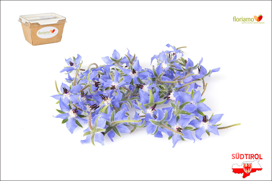 FIORI BORAGGINE AA