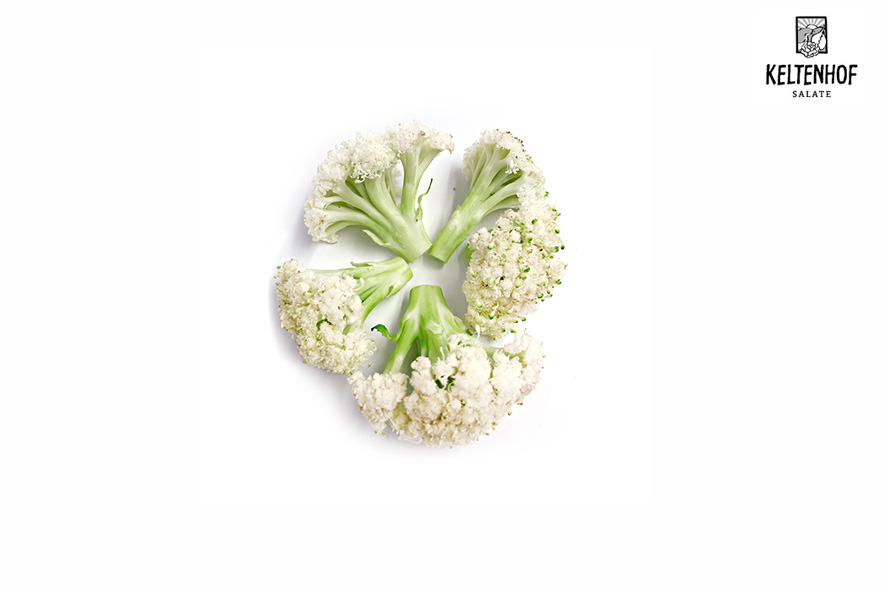 BLUMENKOHL WILD