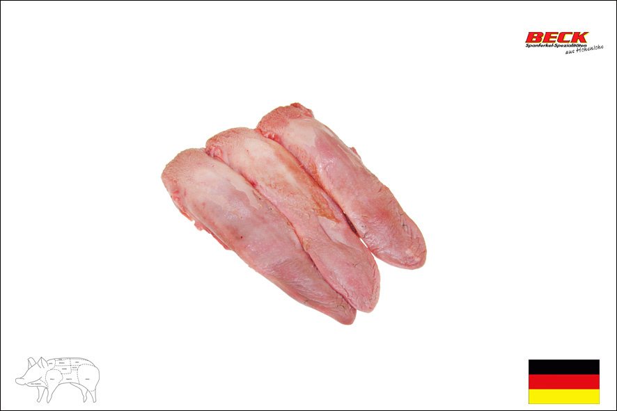 MAIALINO LINGUA 70-90 GR