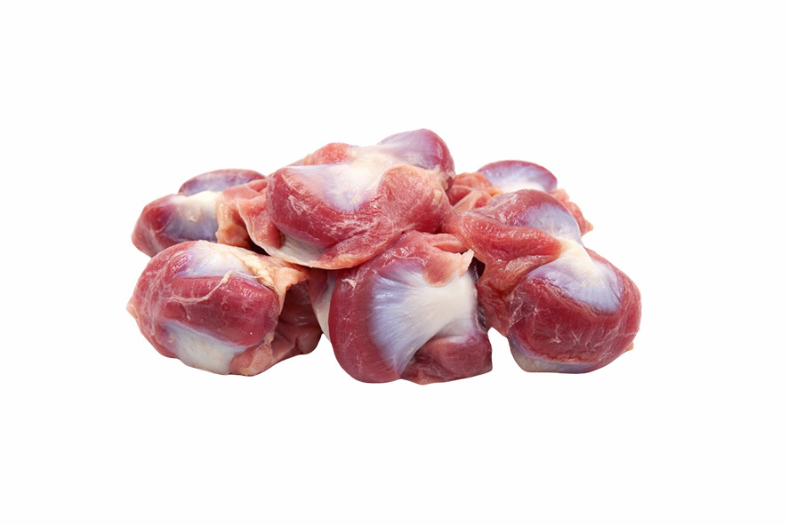 HUHN  MAGEN