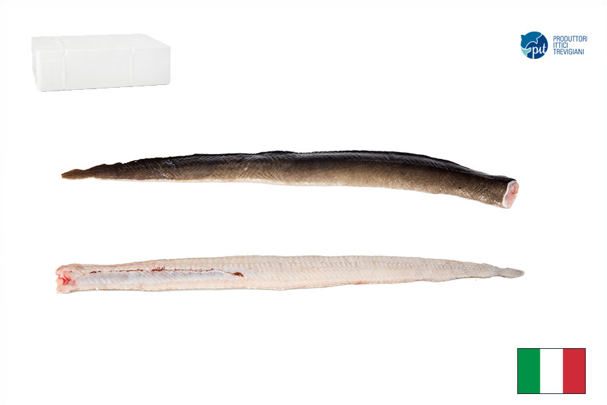 AAL FILET M/H 100-400 GR