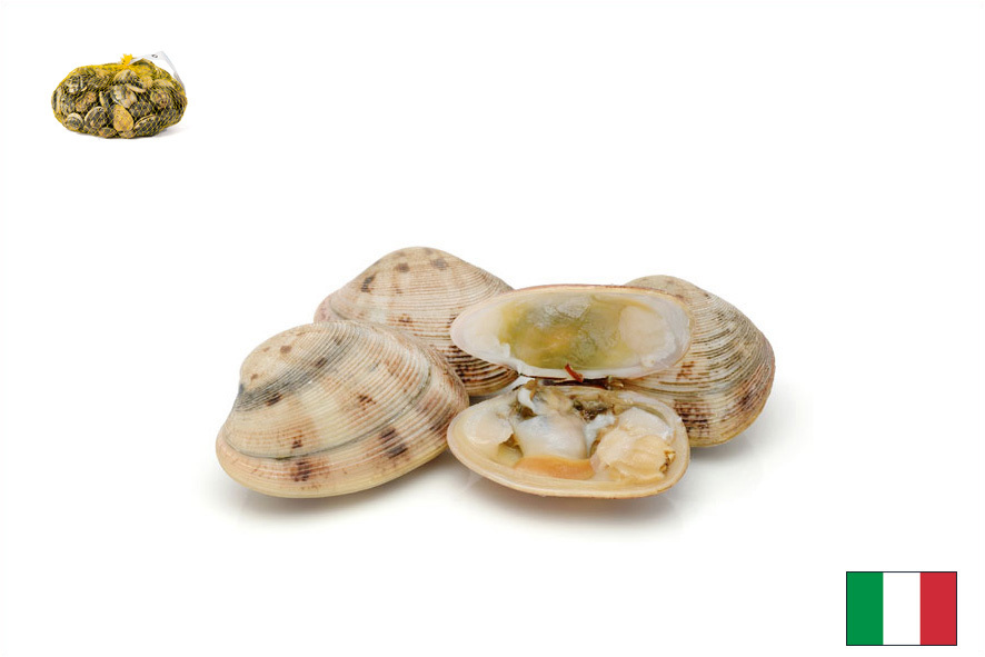 VENUSMUSCHELN LUPINI EXTRA WF (I)