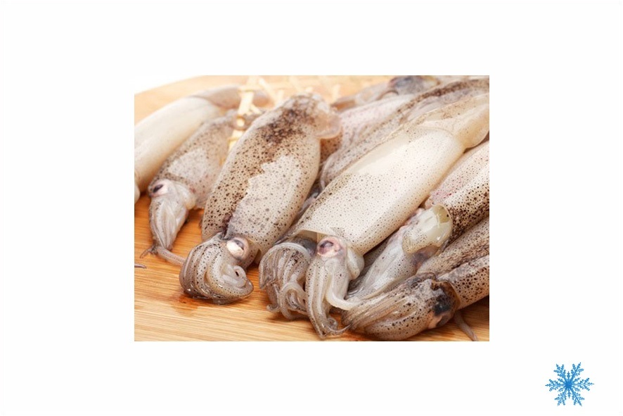 CALAMARI PATAGONIA PULITI BLOCCO SG
