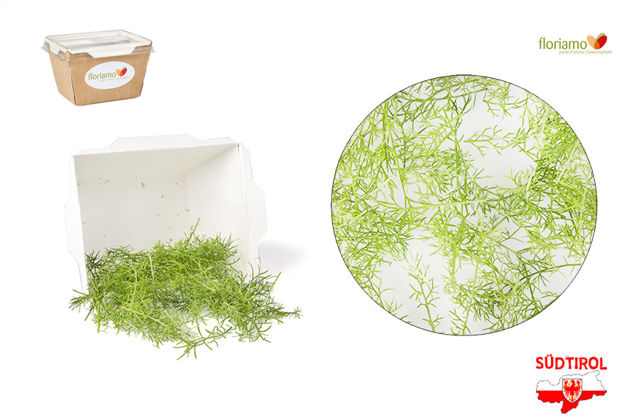 PUNTE DI CAMOMILLA AA