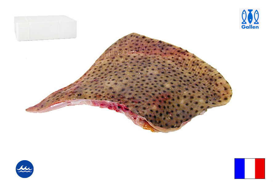 ROCHENFLUEGEL M/H WF 1-1,5 KG(F)