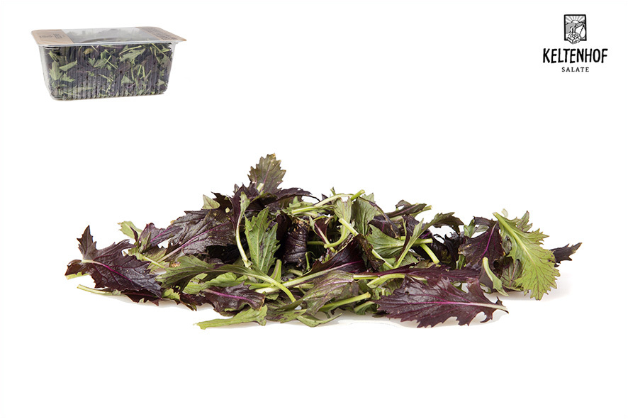 MIZUNA SALAT ROT