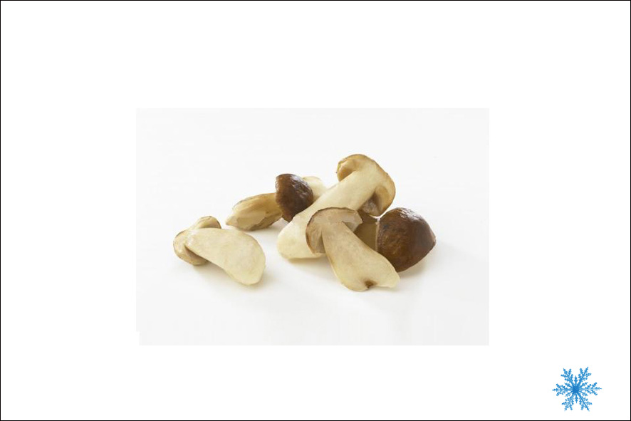 FUNGHI PORCINI TAGLIATI A META ' SG